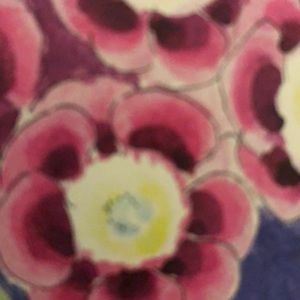 Meet your Posher, Dawn